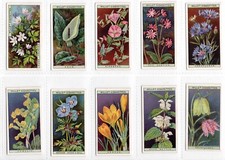 Wild flowers cigarette for sale  BRECON