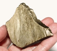 117ct natural golden for sale  Walnut
