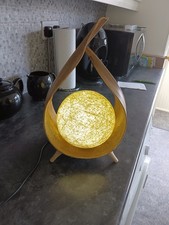 banana palm for sale banana palm for sale EXETER