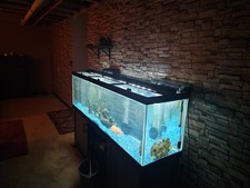 110 gallon fish for sale  Accokeek