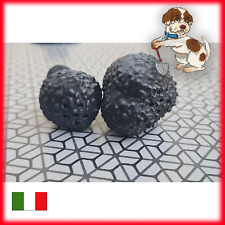 Finto tartufo per usato  Reggio Emilia