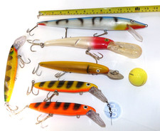 Large saltwater pike for sale  STOKE-ON-TRENT