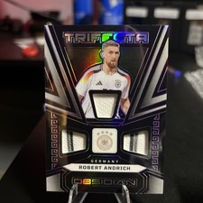 2023 panini bsidian gebraucht kaufen  Langenzenn