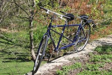 Trex t100 tandem for sale  Dubuque