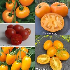 Seltene japanische tomaten gebraucht kaufen  Berlin