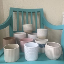 plants pink pots for sale plants pink pots for sale SWANSEA