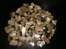 abalone shell pieces for sale abalone shell pieces for sale Dyer