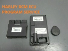 HARLEY DAVIDSON SECURITY FOB BCM SERVIÇO DE DESBLOQUEIO PIN RECUPERAÇÃO ECU HFSM TSSM comprar usado HARLEY DAVIDSON SECURITY FOB BCM SERVIÇO DE DESBLOQUEIO PIN RECUPERAÇÃO ECU HFSM TSSM comprar usado  Enviando para Brazil