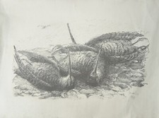 Litografia stampa con usato  San Martino Valle Caudina