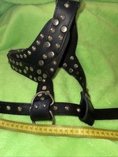 Echtleder hundegeschirr nieten gebraucht kaufen  Oberhausen