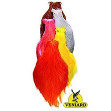 Veniard chinese cock for sale  GIRVAN