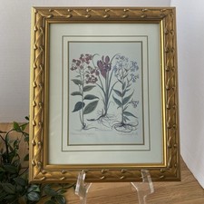Vintage decorative framed for sale  HERNE BAY