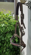 Eskadron halfter vollblut gebraucht kaufen  Passau