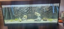 Juwel aquarium 240 gebraucht kaufen  Potsdam