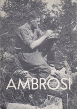 Elmo ambrosi quarant usato  Italia