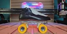 Skunks size power for sale  Williams