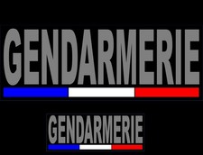 Dossard bande poitrine d'occasion  Montpellier-
