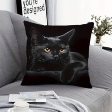 Cute cat polyester for sale  Rochester