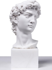 Antica casa david usato  Italia