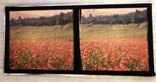 Autochrome paysage montagne d'occasion  Louhans