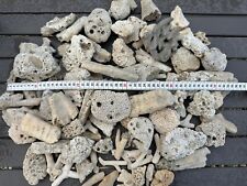5kg steinkoralle cremeweiß gebraucht kaufen  Dernau