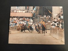 Palio siena palio usato  Siena
