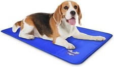Arf pet dog for sale  Edison