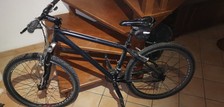Mountain bike telaio usato  Trani