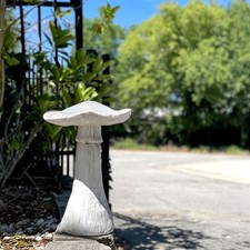 Scratch dent mushroom for sale  Winter Springs