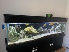 Five foot aquarium for sale  SAXMUNDHAM