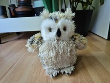 Harry potter verwunschene gebraucht kaufen Harry potter verwunschene gebraucht kaufen  Hamburg