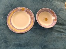 Plate bowl 2001 for sale  WELSHPOOL