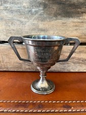 Trophy 1937 loving for sale  Lake Zurich