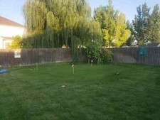 Creeping bent grass for sale  Bridgewater