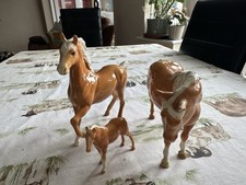 Beswick. palomino family for sale  COALVILLE