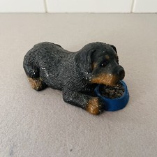 rottweiler pups for sale rottweiler pups for sale American Fork