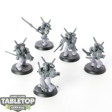 Grey knights grey gebraucht kaufen  Hof