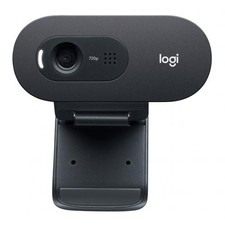 Webcam logitech c505e usato  Italia