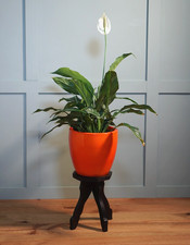 Vintage wooden planter for sale  BRIGHTON