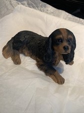 King charles cavalier for sale  WALSALL
