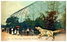 ROCHESTER NY~A GAIOLA VOADORA~ORNAMENTO DE CACHORRO DE METAL~ROTÓGRAFO CARTÃO POSTAL FOTO COLORIDA comprar usado  Enviando para Brazil