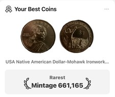 Usa native american for sale  Clearwater