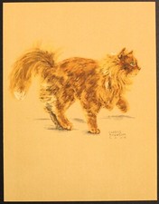 GATO ANGORÁ VERMELHO, SHEBA Antigo original vintage estampa de gato 1941 comprar usado  Enviando para Brazil