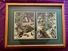 Forest eyes framed for sale  Lander