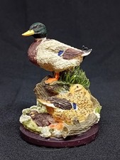 Andy pearce. country for sale  UCKFIELD