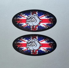 Small british bulldog for sale  FELIXSTOWE