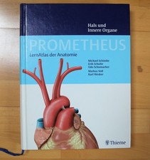 Lehrnatlas anatomie prometheus gebraucht kaufen  Malsch