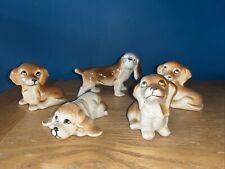 Collection puppy dogs for sale  ROCHDALE