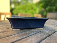Vaso bonsai rettangolare usato  Monte Porzio Catone
