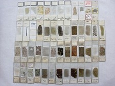 microscope prepared slides for sale microscope prepared slides for sale LEDBURY